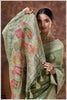 Mehendi Tissue Saree with Hand Embroidered Border