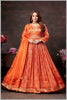 Rust Orange Tissue Anarkali Gown