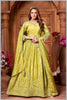 Elegant Lime Green Anarkali Suit with Embroidered Detailing