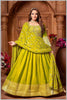 Liril Chinon/Daman Gazi Anarkali Gown with Hand Embroidery