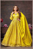 Lime Yellow Tissue Anarkali Gown