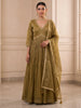 Tissue Anarkali Gown with Golden Lace Detailing and Dupatta