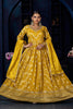 Tissue Silk Anarkali Gown with Zari Weaving and Dupatta
