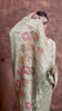 Mehendi Tissue Saree with Hand Embroidered Border